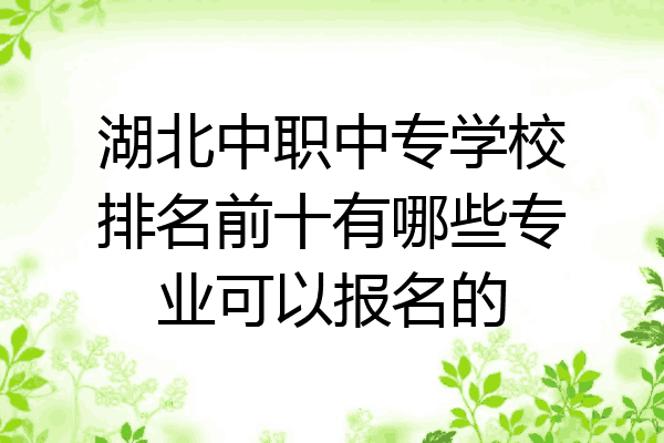湖北中职中专学校排名前十有哪些专业可以报名的