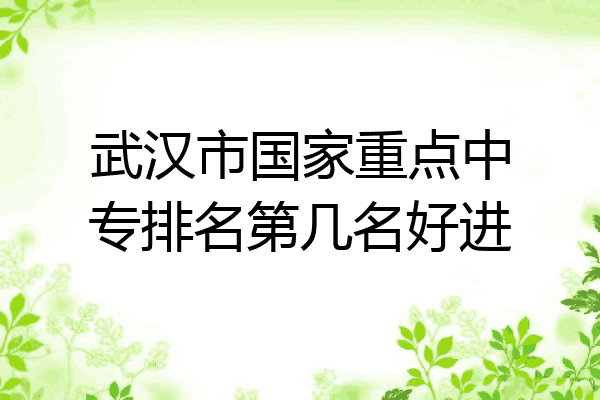 武汉市国家重点中专排名第几名好进