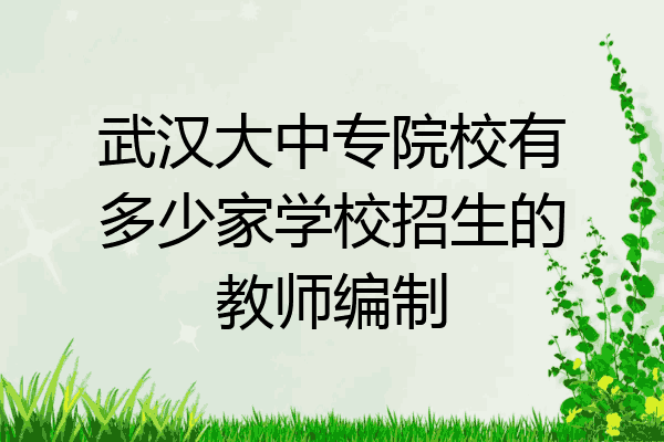 武汉大中专院校有多少家学校招生的教师编制
