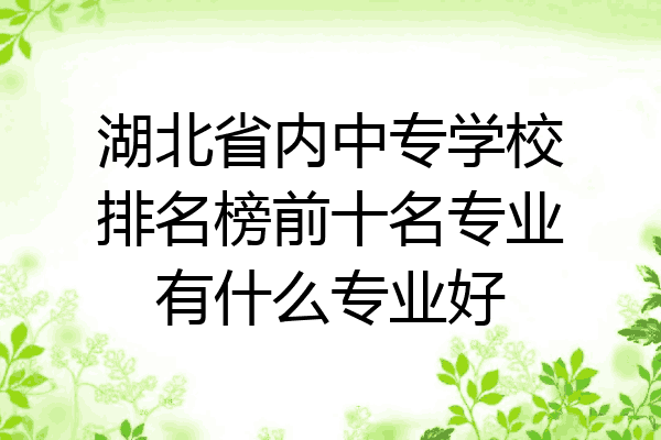 湖北省内中专学校排名榜前十名专业有什么专业好