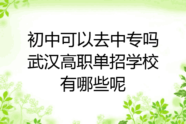 初中可以去中专吗武汉高职单招学校有哪些呢