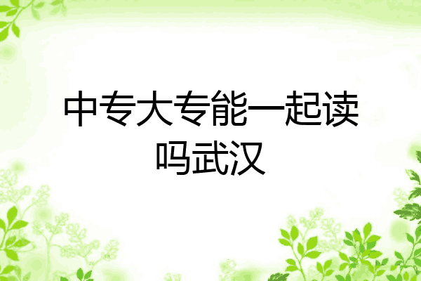 中专大专能一起读吗武汉