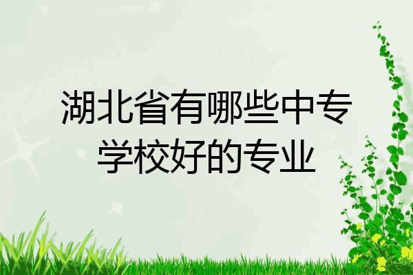湖北省有哪些中专学校好的专业
