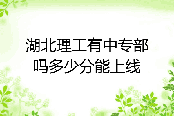 湖北理工有中专部吗多少分能上线