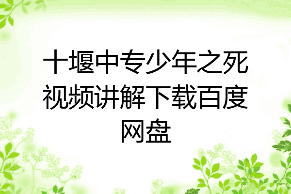 十堰中专少年之死视频讲解下载百度网盘