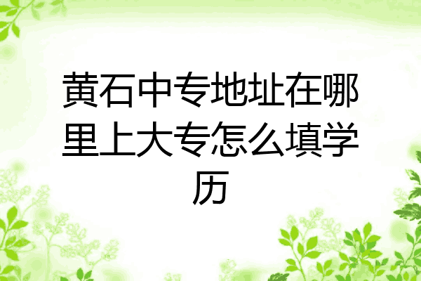 黄石中专地址在哪里上大专怎么填学历