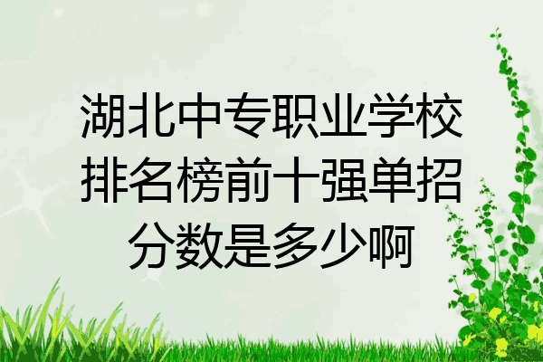 湖北中专职业学校排名榜前十强单招分数是多少啊