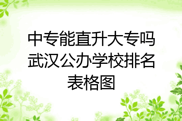 中专能直升大专吗武汉公办学校排名表格图
