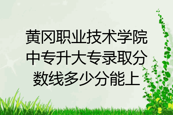 黄冈职业技术学院中专升大专录取分数线多少分能上
