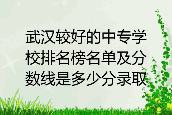 武汉较好的中专学校排名榜名单及分数线是多少分录取
