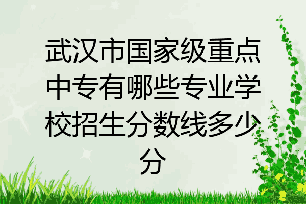 武汉市国家级重点中专有哪些专业学校招生分数线多少分