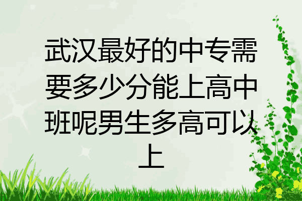 武汉最好的中专需要多少分能上高中班呢男生多高可以上