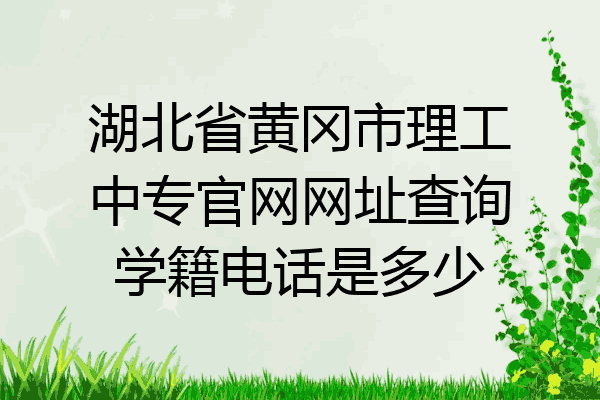 湖北省黄冈市理工中专官网网址查询学籍电话是多少