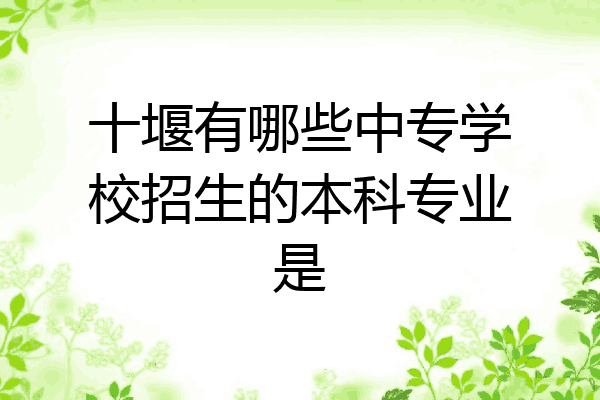十堰有哪些中专学校招生的本科专业是