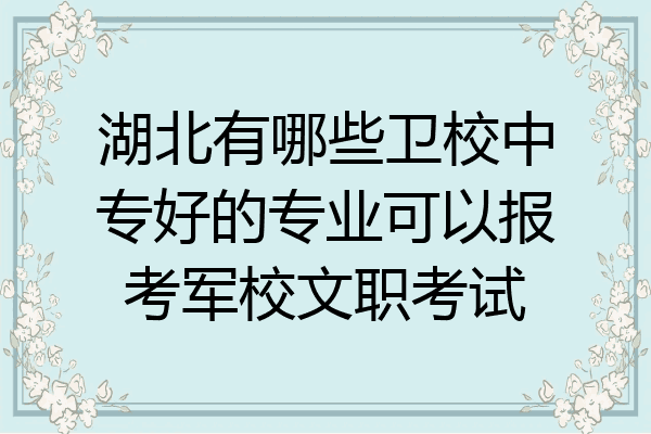 湖北有哪些卫校中专好的专业可以报考军校文职考试