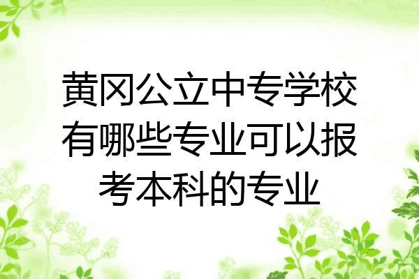 黄冈公立中专学校有哪些专业可以报考本科的专业