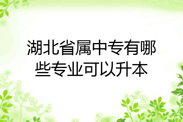 湖北省属中专有哪些专业可以升本