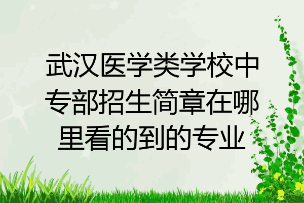 武汉医学类学校中专部招生简章在哪里看的到的专业