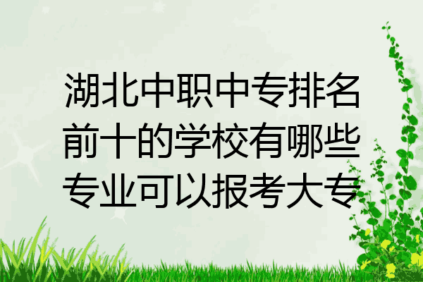 湖北中职中专排名前十的学校有哪些专业可以报考大专