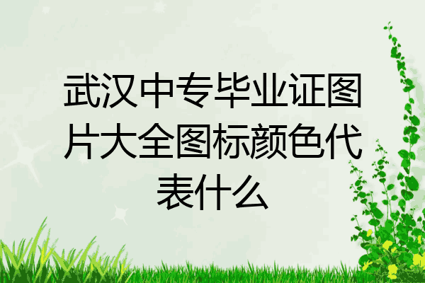 武汉中专毕业证图片大全图标颜色代表什么
