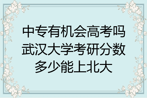 中专有机会高考吗武汉大学考研分数多少能上北大