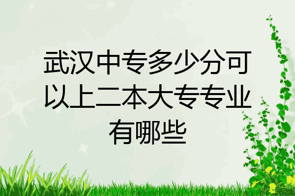 武汉中专多少分可以上二本大专专业有哪些