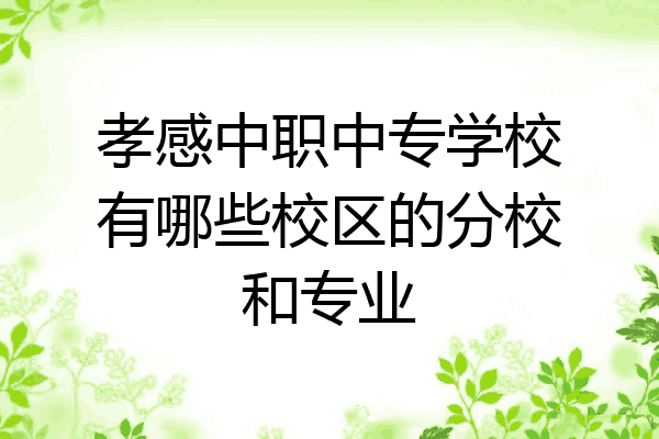 孝感中职中专学校有哪些校区的分校和专业