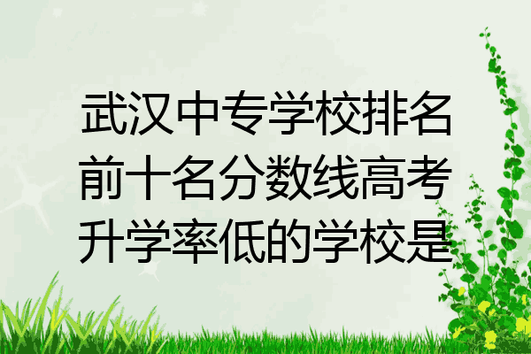 武汉中专学校排名前十名分数线高考升学率低的学校是