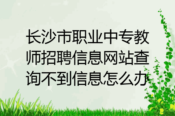 长沙市职业中专教师招聘信息网站查询不到信息怎么办