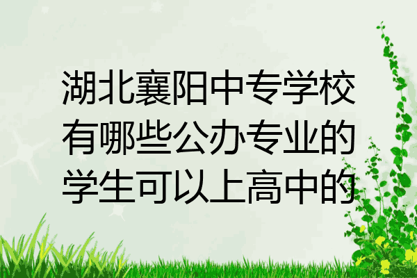 湖北襄阳中专学校有哪些公办专业的学生可以上高中的