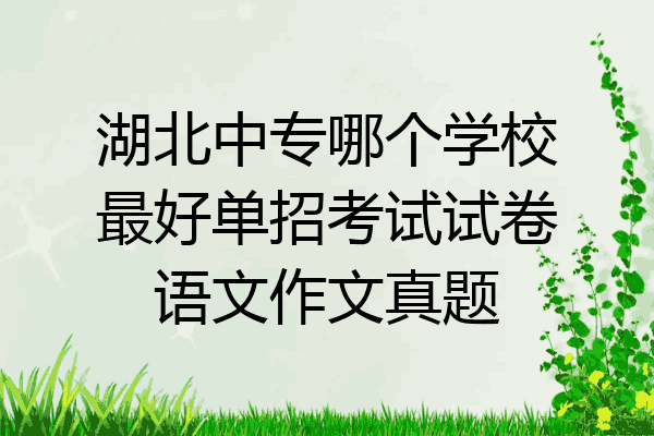 湖北中专哪个学校最好单招考试试卷语文作文真题