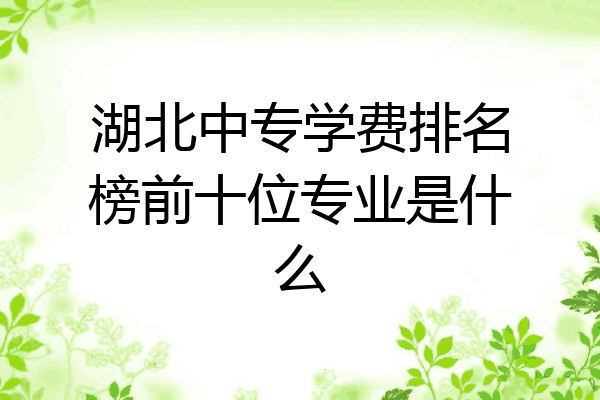 湖北中专学费排名榜前十位专业是什么