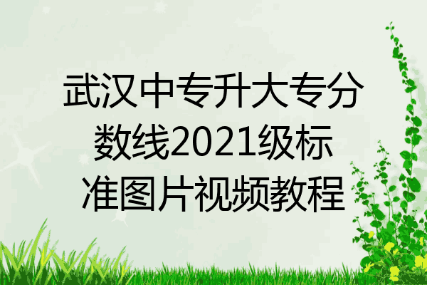 武汉中专升大专分数线2021级标准图片视频教程