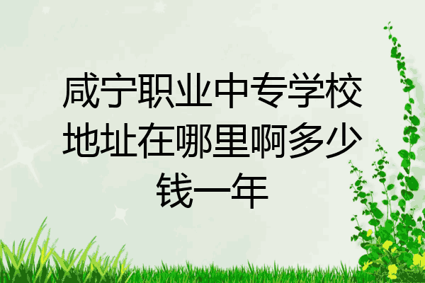 咸宁职业中专学校地址在哪里啊多少钱一年