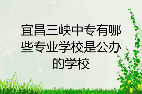 宜昌三峡中专有哪些专业学校是公办的学校
