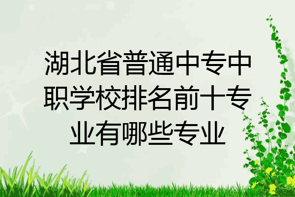 湖北省普通中专中职学校排名前十专业有哪些专业