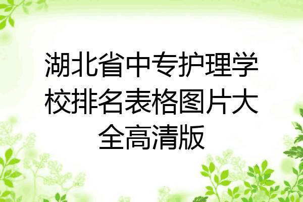 湖北省中专护理学校排名表格图片大全高清版