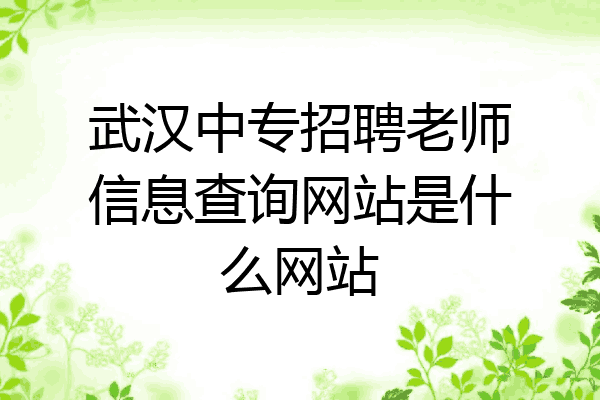 武汉中专招聘老师信息查询网站是什么网站