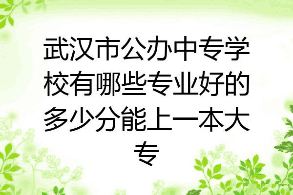 武汉市公办中专学校有哪些专业好的多少分能上一本大专