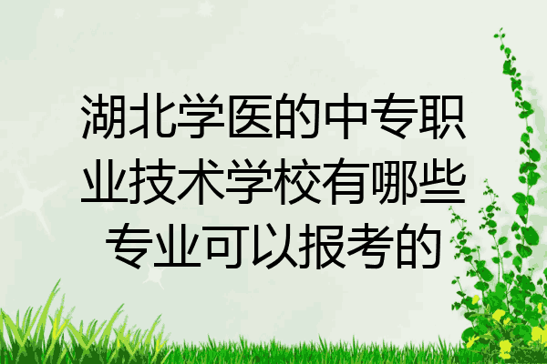 湖北学医的中专职业技术学校有哪些专业可以报考的