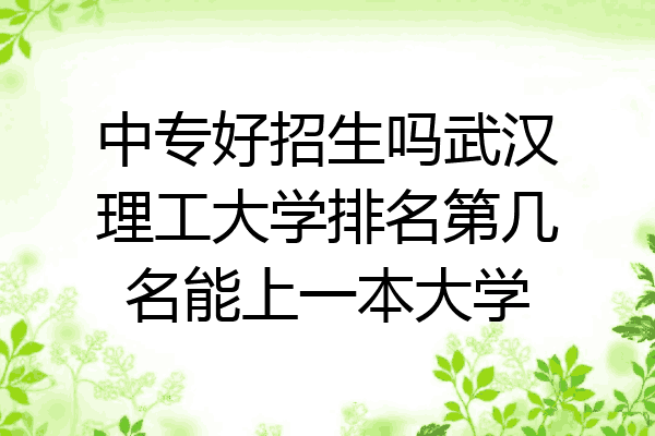 中专好招生吗武汉理工大学排名第几名能上一本大学