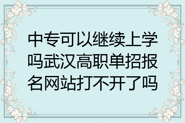 中专可以继续上学吗武汉高职单招报名网站打不开了吗