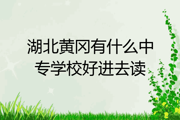 湖北黄冈有什么中专学校好进去读