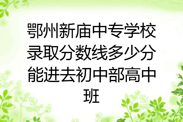 鄂州新庙中专学校录取分数线多少分能进去初中部高中班