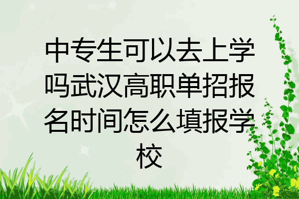 中专生可以去上学吗武汉高职单招报名时间怎么填报学校