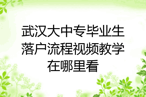 武汉大中专毕业生落户流程视频教学在哪里看