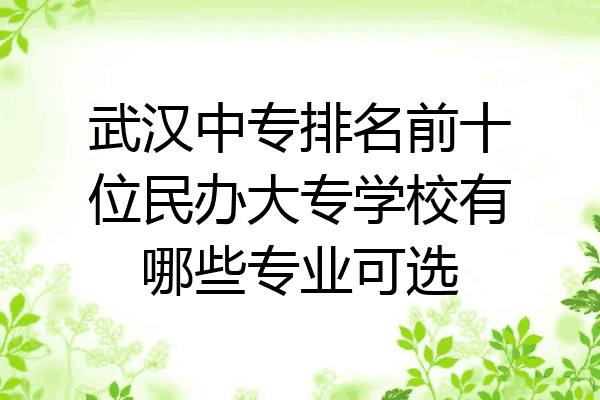 武汉中专排名前十位民办大专学校有哪些专业可选