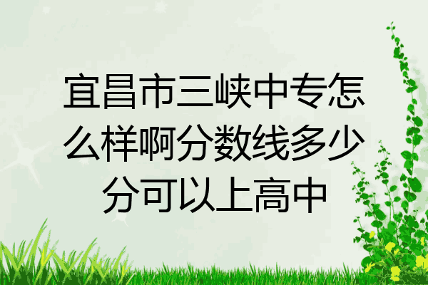 宜昌市三峡中专怎么样啊分数线多少分可以上高中