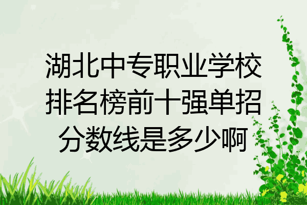 湖北中专职业学校排名榜前十强单招分数线是多少啊