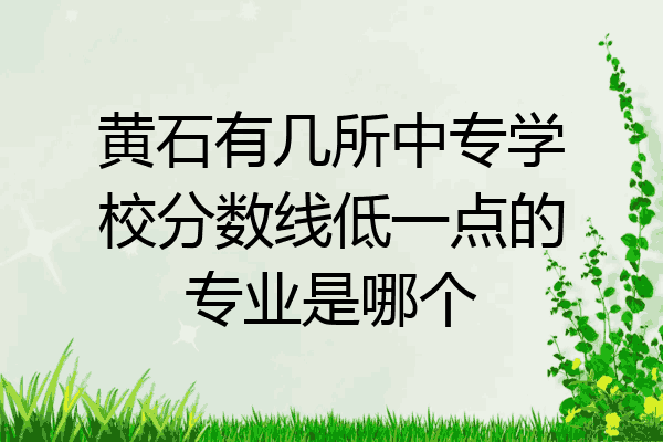 黄石有几所中专学校分数线低一点的专业是哪个